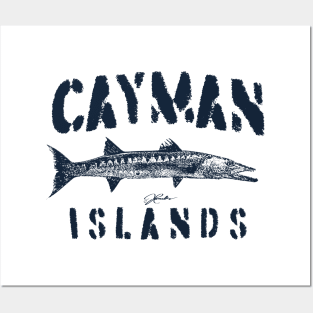 Cayman Islands Great Barracuda Posters and Art